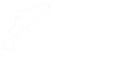 Pesch VIV Logo